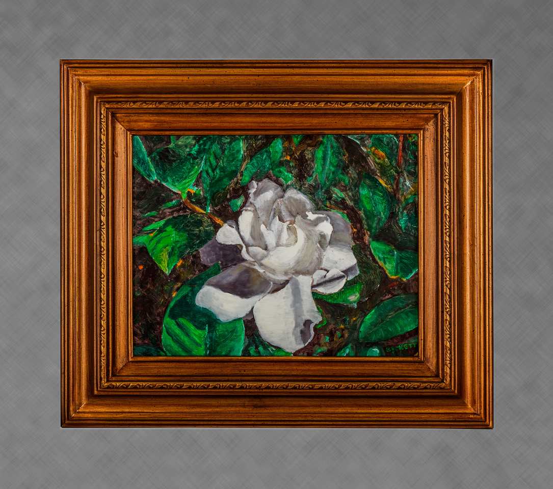 Gardenia 
 11 in x 14 in Oil on Panel 2012 
 Private Collection
