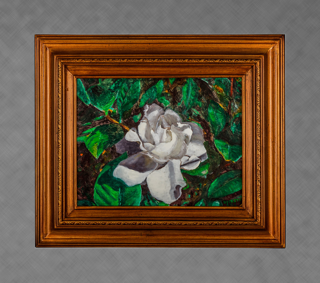 Gardenia
11 in x 14 in Oil on Panel 2012
Private Collection